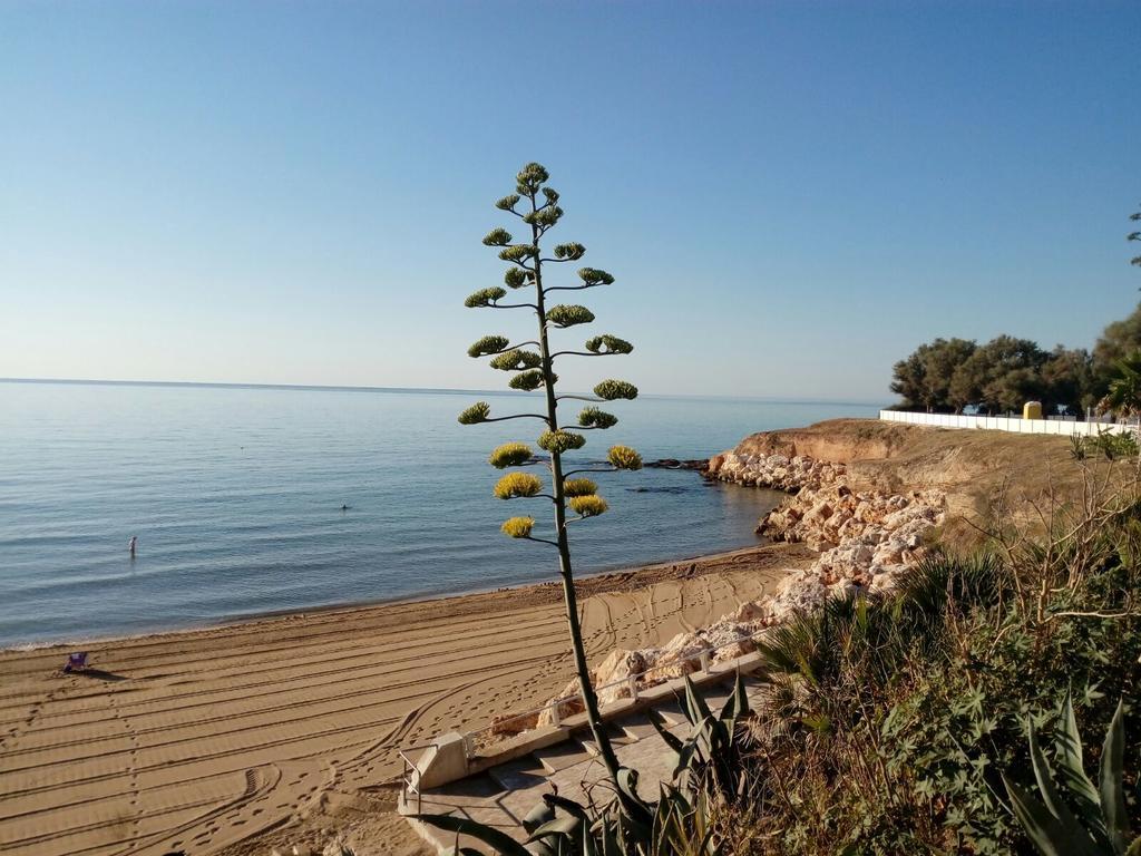 أفولا Villa Del Mar المظهر الخارجي الصورة